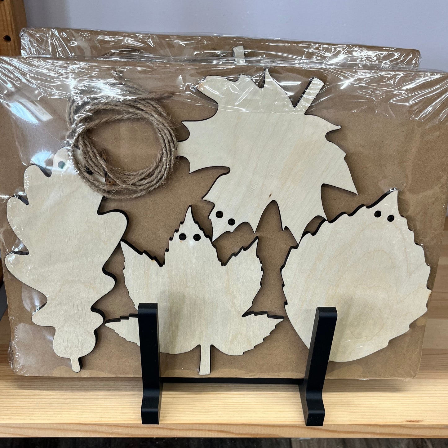 Paint Project Kit - Garland