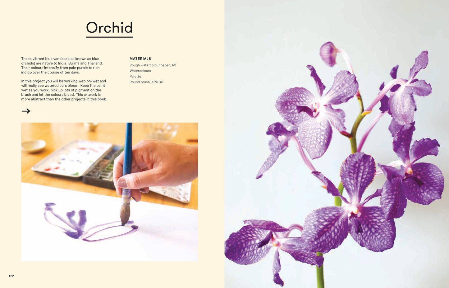 Art Class: Flowers And Foliage-Creating Contemporary Botani