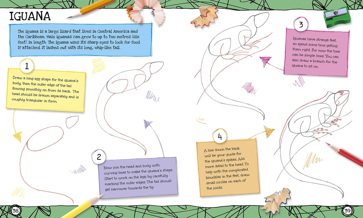 how to draw iguana inside pages