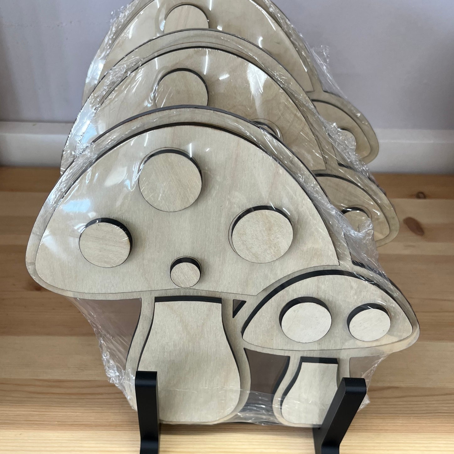 Paint Project Kit - Mushrooms