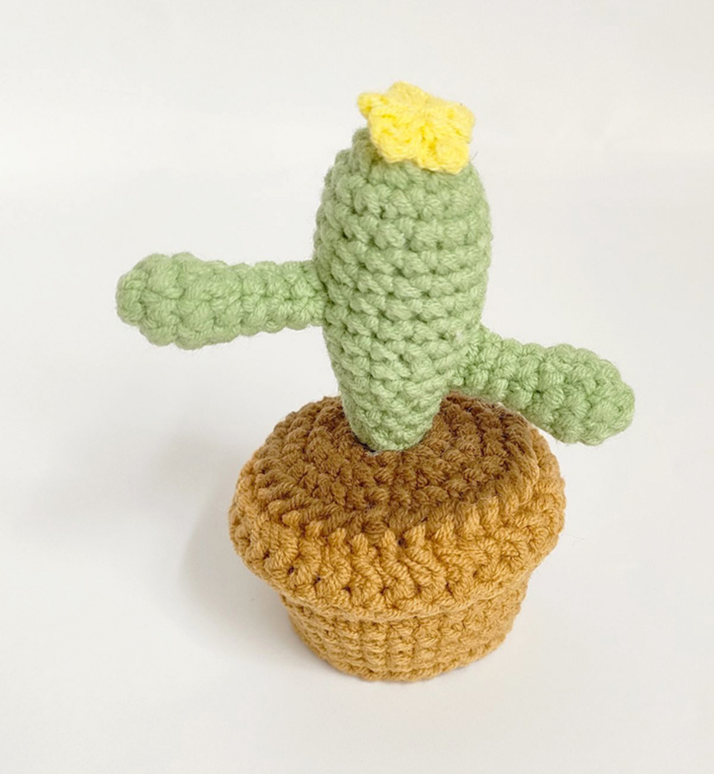 Crochet Plants