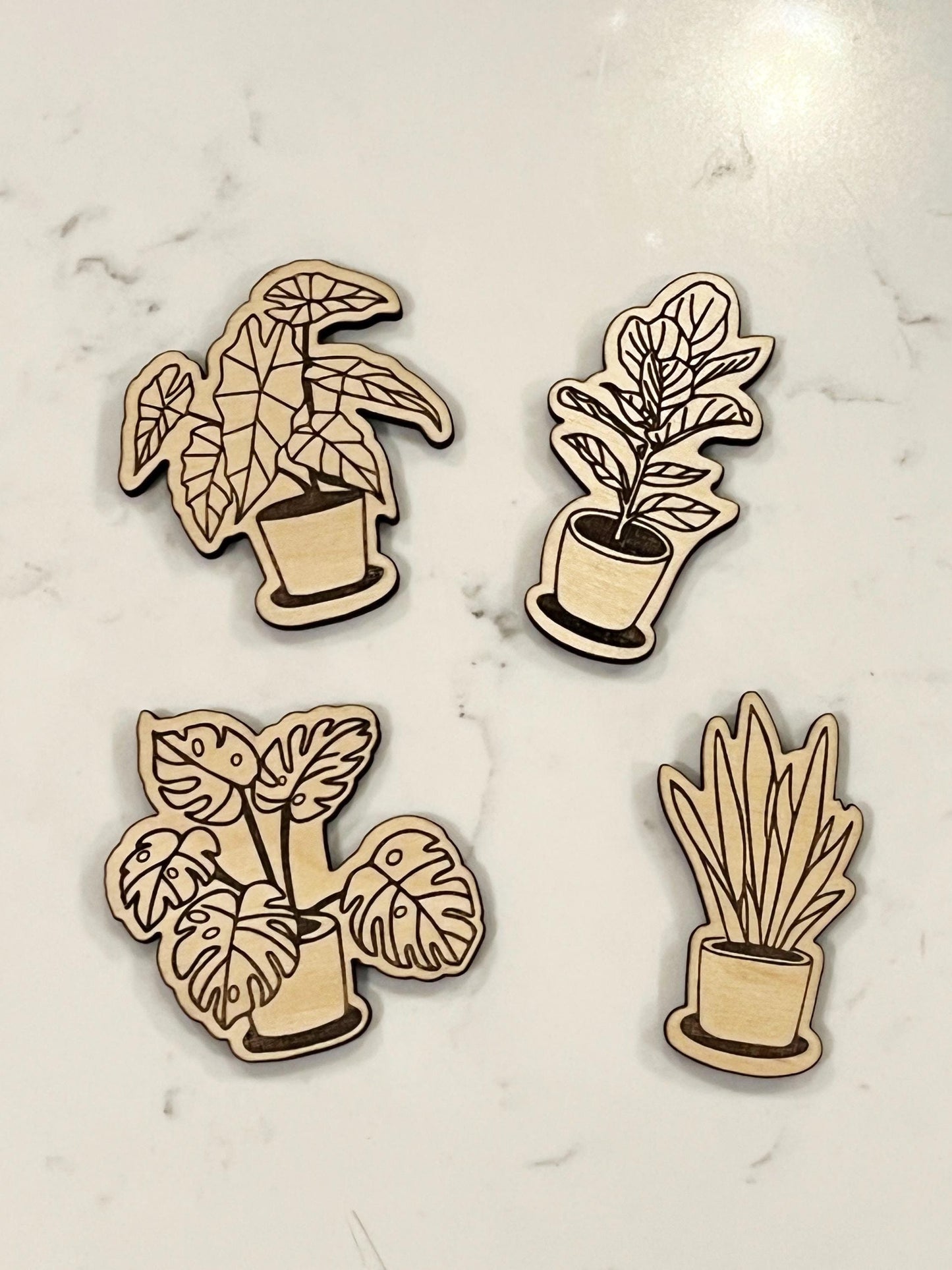 Wooden Houseplant Magnet Set (4)